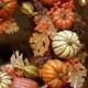 Fifty Fall Wreath Ideas & Inspiration For The Entire Autumn Season