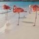 Caribbean Beach With Pink Flamingos By George Oze