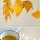 7 Ways To Turn Your Fall Leaf Collection Into Art