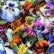 Dried Flowers, Confetti, Petal, Wedding Confetti, Flower Petals, Dried Flowers, Petal Confetti, Wedding Decor, Aisle, Decoration, Real