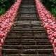 Vacation-travel-photos-tulip-stairs-kyoto-japan