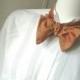 Mens bow tie, for him, pure silk, freestyle, hand painted, terracota colour, self tie.