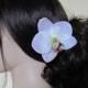 Hawaiian Wite - Pink  Orchid  hair Flower clip