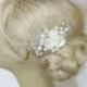 Birdcage Veil and a Bridal Pearls Hair Comb (2 Items),bridal veil, Rhinestone Bridal Hair Pearls Comb Weddings veil Silver Blusher Birdcage
