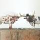Country Cake Topper, Wedding, Long Horn Cattle Cows, Barn, Cowboy, Southwestern Rustic