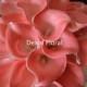 Real Touch Coral Calla Lilies for Silk Wedding Bridal Bouquets, Centerpieces, Decorations, Wedding Flowers Package, 9pcs/set