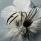 Bridal Hair Clip Bridal Feather Fascinator, Feather Hair Piece, Wedding Hair Accessory, ivory black hair clip
