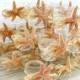 Beach Wedding Decor Sugar Starfish Votives With Natural Raffia