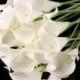 100pcs  White Cally Lily Real Nature Touch Flowers for DIY Bridal Bouquet Wedding Bouquet with Scent high quality