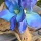 Hawaiian Purple - Blue Two Orchids hair flower clip - Wedding-