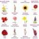 Flowers, Their Meanings, And Which Ones NOT To Give Your Valentine