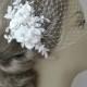 Birdcage Veil and Lace Fascinator Set, Ivory, White or Champagne, Bridal Fascinator and Bandeau Veil with Rhinestones, Pearls - ODETTE