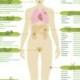 Specific Herbs For Specific Parts Of Your Body