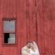 What Is A Rustic Style Wedding? 