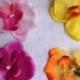 10 Big Orchid Headbands or Hair Clips. Fast Shipping from USA. perfect for a Hawaiian Party.