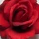 Red Real Touch Open Rose Hair Flower Clip - Wedding or Prom