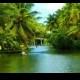 South India Backwaters Tour Packages