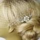 Birdcage Veil and a Pearl Hair Comb (2 Items)  Bridal Headpiece Rhinestone Bridal Comb Weddings Blusher Bird Cage Veil