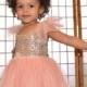Pink Glitter or Ivory Gold Sequin Princess Birthday party Flower Girl dress