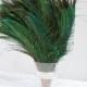 50 pcs Peacock Sword feathers Standard 12-14 Inches