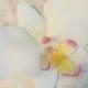 White Orchid Hair Accessory: Bridal Party Hair, Flower Girl Hair, Bobby Pin, Hair Clip, Flower Barrette, Wedding Hair Accessory
