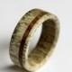 Deer Antler Ring, Antler Ring, Wooden Ring, Antler Ring Inlaid With Oak Wood