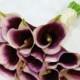 25 piece Wedding Flower Package with Silk Picasso Style Purple Calla Lily & White Real Touch Roses