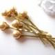 Gold Pearl Hair Pins, Wedding Set of 6