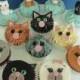 Kitty Cupcakes