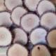 25 3-4" Rustic Wood Tree Slices Wedding Decor SOURWOOD Disc Log Round LARGE