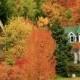 The Ultimate Upstate New York Leaf Peeping Guide