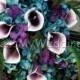 Teal cascading bouquet with picasso calla lilies, teal, plum purple, hydrangea bouquet, teardrop bouquet