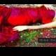 Irina Shabayeva Red Rose Print Gown