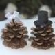 Mr and Mrs Pinecones, Wedding cake topper, pinecones toppers, Wedding toppers, Rustic toppers, Woodland toppers, Pinecones wedding, aspen