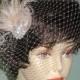 Champagne Birdcage Veil with  Feather Fascinator Clip Ready to Ship