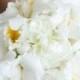 Inspired By: Sofia Vergara's Glamorous White Orchid Bouquet