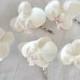 White Orchid hair fascinators mini real touch phalaenopsis orchid hair clips bridal hair clip tropical fascinator