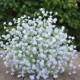 Silk Bouquet, White, Gypsophila Baby's Breath Bouquet Wedding Bouquet - Madeline