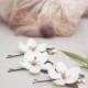 wedding flower, hair accessories, bridal aceccessories