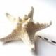 White Starfish Hair Pin, Beach Wedding Bobby Pin, Knobby Star Fish