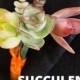 How To Make Succulent Boutonnieres For Your DIY Wedding
