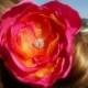 Tropical Fantasy Rose, pink and orange rose, satin and organza rose, hair flower, hot pink flower