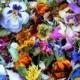 Petal Confetti, Dried Flowers, Flower Petals,  Confetti,  Wedding Decorations, Tossing flowers, Aisle Decor, Rustic, Eco Friendly, Natural