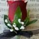 Red & Black Boutonniere rose Groom groomsman bridal silk wedding flowers
