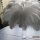 Discount item 100pcs ostrich feather for wedding table centerpiece,feather centerpiece,white ostrich feathers,wedding table decoration AAA