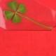 Genuine Real 4 Four-Leaf Clover Bookmarks Irish Shamrock Good Luck Charm for Smartphone Wallet Case Amulet Purse Coating Gift Thanks Card M