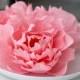 3 pink Peonies - paper peonies - paper flowers -wedding centerpiece -cake topper- peonies centerpieces- bridal bouquet- wedding cake topper