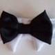 Dog Bow Tie: For Your Wedding To Include Your Awesome Pup or Kitty miascloset