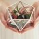 NEW! Mini Geometric Terrarium / Icosahedron / Ring Pillow Alternative / Wedding Ring Box / Glass Box / Geometric Glass Box / Ring Bearer Box