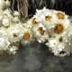 Ammobium dried floral LARGE bunch-White wedding flower-Mini white strawflower-Corsage flowers-Dyed flowers